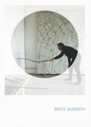 Brice Marden : Phaidon Focus-9780714861449