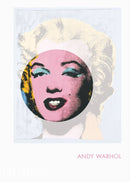 Andy Warhol : Phaidon Focus-9780714861586