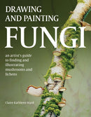 Drawing and Painting Fungi : An Artists Guide to Finding and Illustrating Mushrooms and Lichens-9780719843327