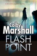 Flash Point : A Psychological Thriller-9780727895639
