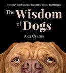 The Wisdom Of Dogs : The adorable and funny new book from the photographer behind the bestselling QUOKKA'S GUIDE TO HAPPINESS and ZEN DOGS-9780733343506