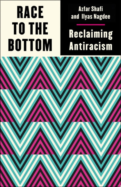 Race to the Bottom : Reclaiming Antiracism-9780745344676