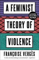 A Feminist Theory of Violence : A Decolonial Perspective-9780745345673