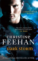 Dark Storm : Number 23 in series-9780749957544