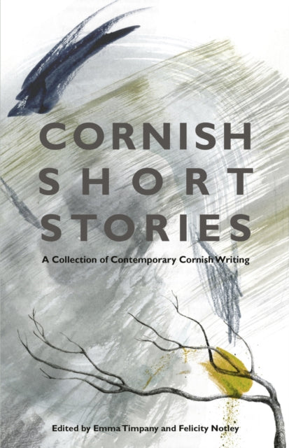 Cornish Short Stories : A Collection of Contemporary Cornish Writing-9780750983556