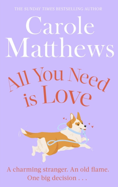 All You Need is Love : The uplifting romance from the Sunday Times bestseller-9780751551488