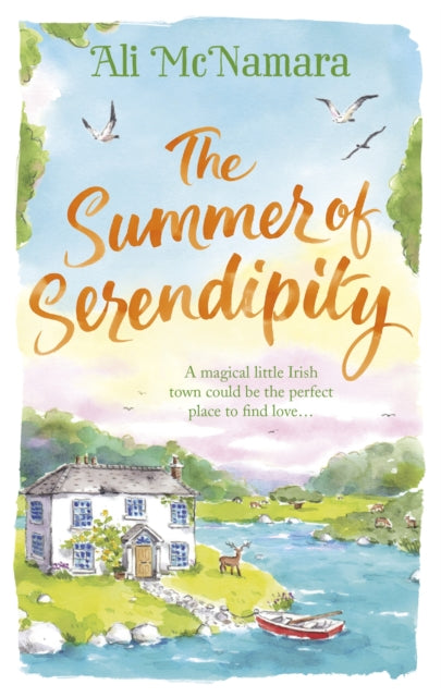 The Summer of Serendipity : The magical feel good perfect holiday read-9780751566208