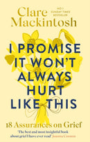 I Promise It Won't Always Hurt Like This : 18 Assurances on Grief-9780751585018