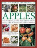 Illustrated World Encyclopedia of Apples-9780754820666