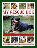 My Rescue Dog
