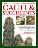 How to  Choose and Care for Cacti & Succulents
