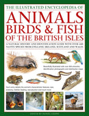 The Animals, Birds & Fish of the British Isles, Illustrated Guide to : A natural history and identification guide to over 440 native species from England, Ireland, Scotland and Wales-9780754836155