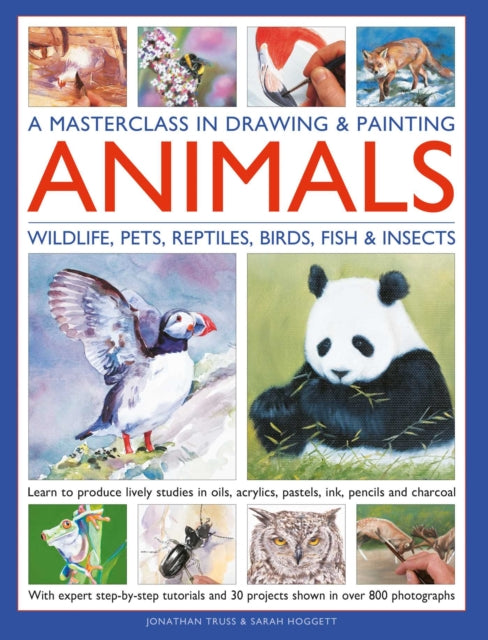 A Masterclass in Drawing & Painting Animals (Wildlife, Pets, Reptiles, Birds, Fish & Insects) : Learn to produce lively studies in oils, acrylics, pastels, ink, pencils and charcoal; With expert step--9780754836285