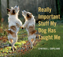 Really Important Stuff My Dog Has Taught Me-9780761181798