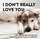 I Don''t Really Love You