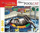B KLIBAN POOLCAT-9780764955242
