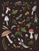 Mushroom Lined Journal-9780785843832