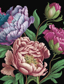 Peonies Journal : Lined Pages and Sprayed Edges-9780785847007