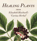 Healing Plants : From Elizabeth Blackwell's "Curious Herbal"-9780789214812