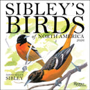 Sibley's Birds of North America 2026 Wall Calendar-9780789348715
