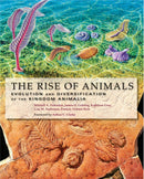 The Rise of Animals : Evolution and Diversification of the Kingdom Animalia-9780801886799