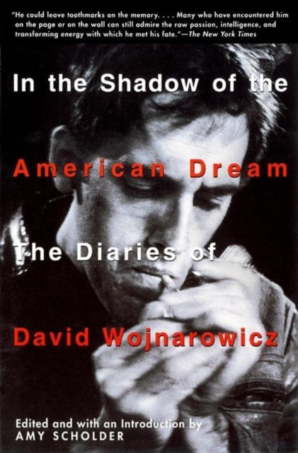 In the Shadow of the American Dream : The Diaries of David Wojnarowicz-9780802136718