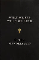 What We See When We Read-9780804171632
