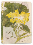 Japanese Squash Blossom Lined Paperback Journal : Blank Notebook with Pocket-9780804855792
