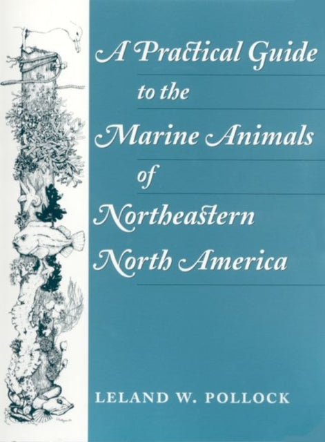A Practical Guide to the Marine Animals of Northeastern North America-9780813523996