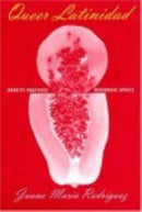 Queer Latinidad : Identity Practices, Discursive Spaces-9780814775509