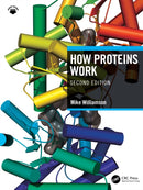 How Proteins Work