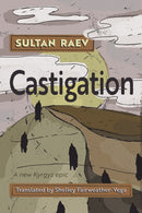 Castigation-9780815611936