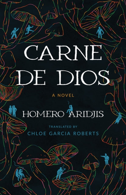 Carne De Dios : A Novel-9780816554140