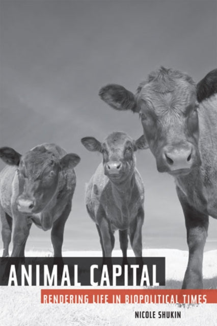 Animal Capital : Rendering Life in Biopolitical Times-9780816653423