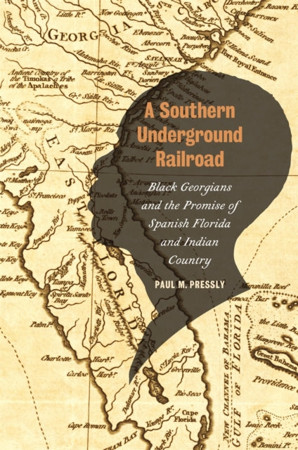 A Southern Underground Railroad : Black Georgians and the Promise of Spanish Florida and Indian Country-9780820366852