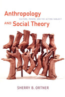 Anthropology and Social Theory : Culture, Power, and the Acting Subject-9780822338642