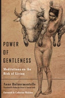 Power of Gentleness : Meditations on the Risk of Living-9780823279609