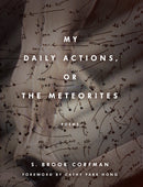 My Daily Actions, or the Meteorites-9780823289493