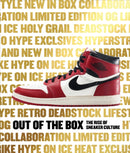 Out of the Box : The Rise of Sneaker Culture-9780847846603