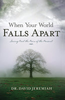 When Your World Falls Apart : See Past the Pain of the Present-9780849904363