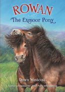 Rowan The Exmoor Pony-9780857043573