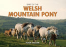 Spirit of the Welsh Mountain Pony-9780857100290