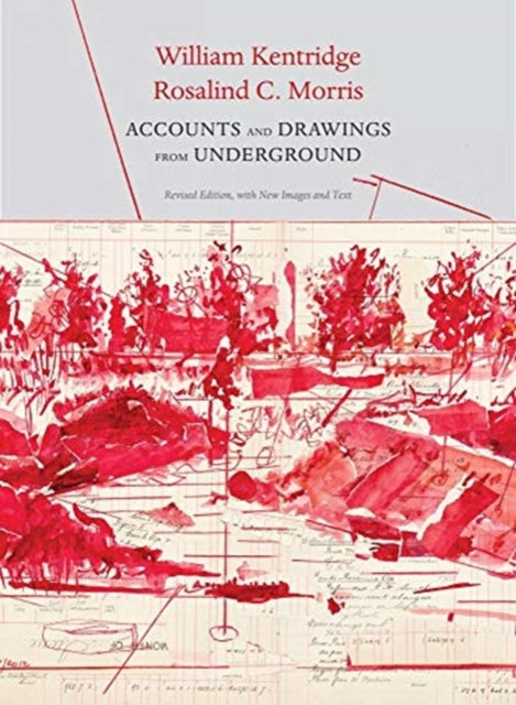Accounts and Drawings from Underground : The East Rand Proprietary Mines Cash Book-9780857428523
