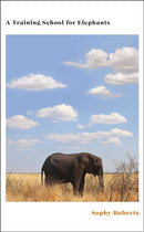 A Training School for Elephants-9780857528377