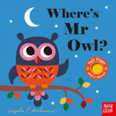 Where's Mr Owl?-9780857637970