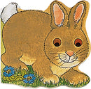 Pocket Bunny-9780859539074