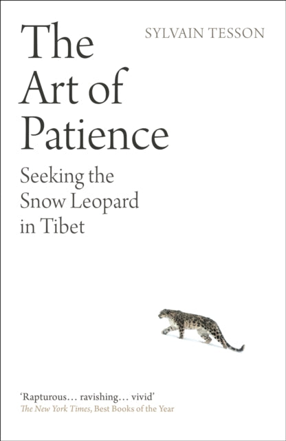 The Art of Patience
