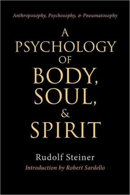 A Psychology of Body, Soul and Spirit-9780880103978