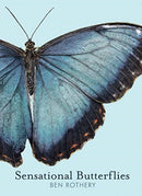 Sensational Butterflies-9780884488767