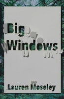 Big Windows-9780887486326